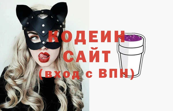 дживик Абаза
