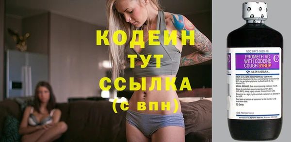 дживик Абаза