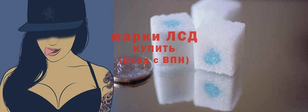 a pvp Горняк