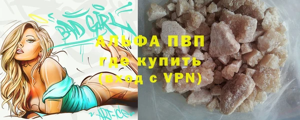 дживик Абаза