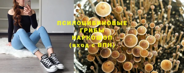 дживик Абаза